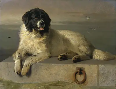 A Distinguished Member of the Humane Society Edwin Henry Landseer